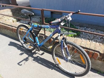 AUTHOR BASIC horský bicykel - 2
