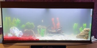 Predám Juwel akvárium set Rio LED 240 121 x 41 x 55 cm 240 l - 2