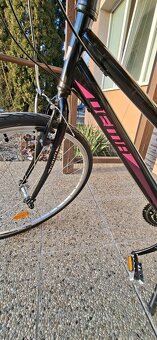 Dámsky bicykel Dema - 2