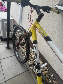 Pansky bicykel - 2