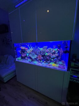 Predám Morske akvarium stojanom a filtráciou bez života - 2