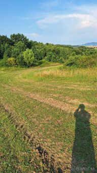 Investičný pozemok 3030 m2 Malý Šariš - pri meste Prešov - 2