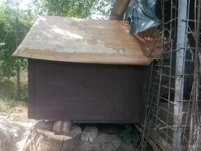 Predám zateplenú búdu pre psa - 2