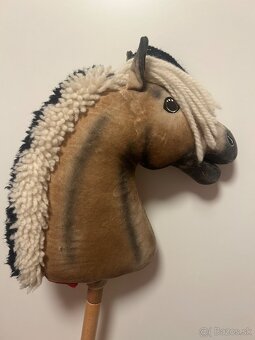 Hobby horse - 2