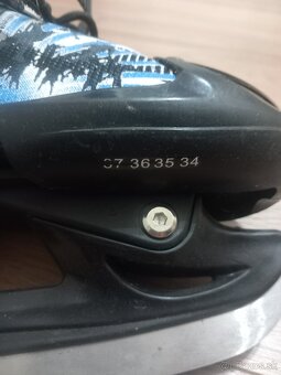 Predam chlapčenské korcule - 2