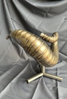 Vyfuk Beta rr rx 300 - 2