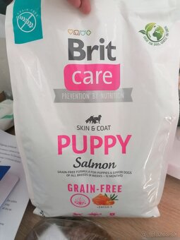 Granule brit puppy - 2