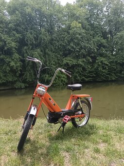 Babeta 207 - 2