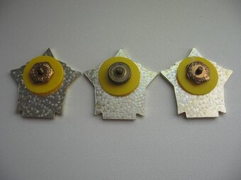 Vzorný pracovník OSH - 2