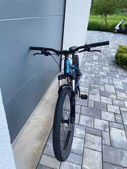 Kellys whip 50 2021 - 2