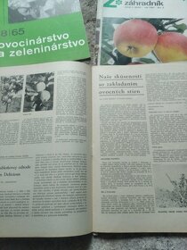Časopis ovocinár - 2