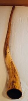 Australské didgeridoo 180cm (Lepší nenajdeš) - 2