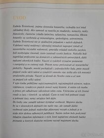 Majstri ducha - 2