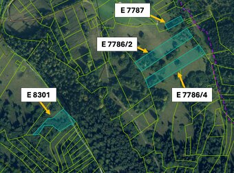 Liptovské Revúce 7.964 m2 LESY a POĽNOHOSPODÁRSKA pôda - 2