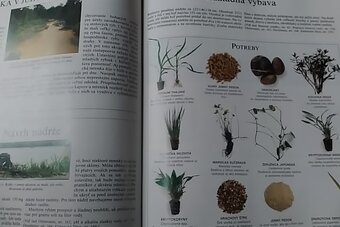 Akvárium Peter W. Scott - 2