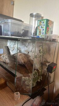 Terarium 70x30x30 - 2