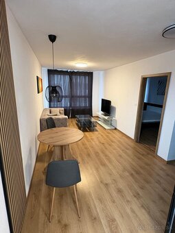 Prenájom 2-izbovy byt NOVOSTAVBA - 2