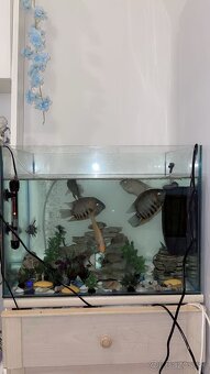 Cihildy s akvárium 120L - 2