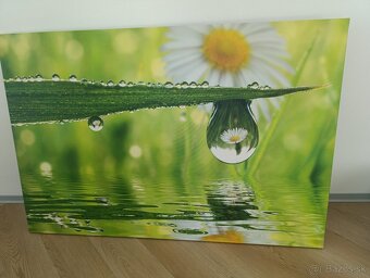 Predám obraz fotoplatno - 2