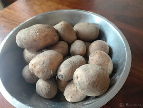 Predám konzumné BIO zemiaky odroda Soraya - 0,6 Eur/kg - 2