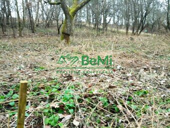 Pozemok na výstavbu chaty v Bardejove pod Vinbargom - 2