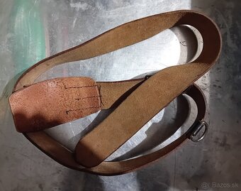 madarska opaskova pracka - 2