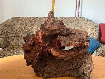 Koreň do akvária - 2