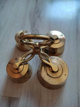 Zvonček stvorhlasny - 2