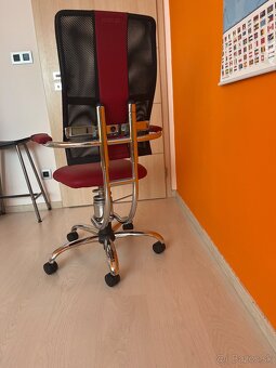 spinalis stolicka - 2