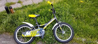 Capriolo Mustang 16 - 2