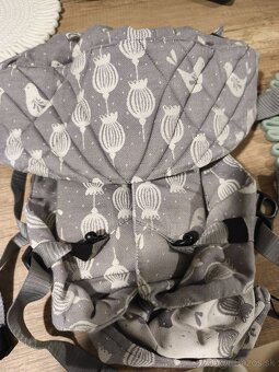 Sestrice Carrier one - 2