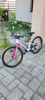 Kellys KITER 30 - 2