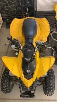 Can am ds 250 tp spz - 2