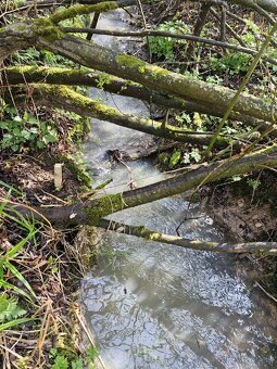 Pozemok Trstena 2583m2 - 2