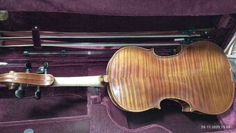 PROFESIONALNE HUSLE - 2