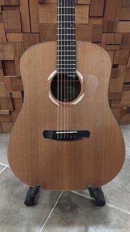 Dowina Sauvignon DE - Fishman el. - 2