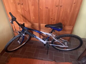 BICYKEL DEMA ISEO 24" - 2