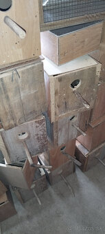 Alexander čínsky - 2