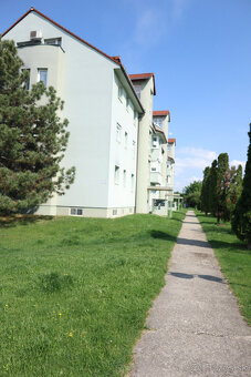 3 izbový byt - 2