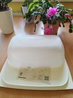 Obdĺžnikový diplomat tupperware - 2