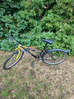 Lincoln berenica - 2