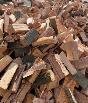 Palivové drevo tvrdé - 2