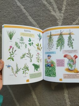 Encyklopédia Farma - 2