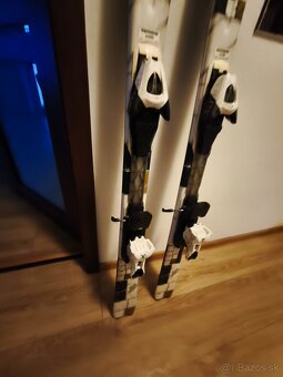 Predám lyže dymanic - 2