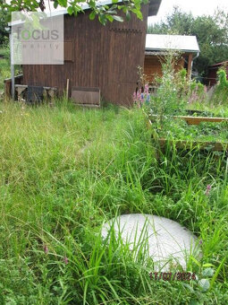 Predám záhradu so studňou a chatkou - 2