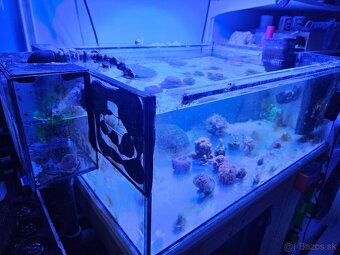 Akvarium 80x60cm s prepadom + sump 70x40cm za odvoz - 2