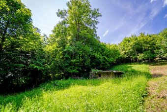 Pozemok pre vašu chatku alebo záhradu_Zbora - 2