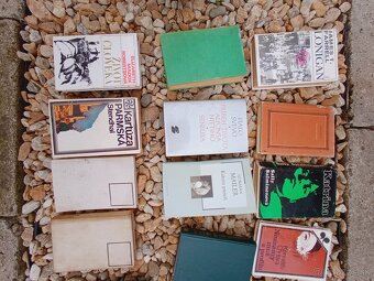 Rôzne staré knihy hlavne romány - 2