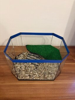 Terárium pre korytnačku - 2