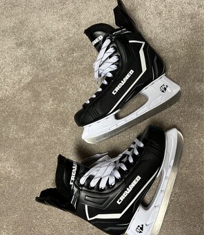 Pánske ľadové korčule v. 40 - 2